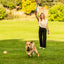 A Ball Dog Ball Launcher with Ergonomic Handle, Interactive Fetch Toy, Comfort Grip, Long-Distance Play, Slobber-Free Pickup
