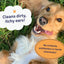 Petpost | Dog Ear Cleaner Wipes - Ultra Soft Cotton Pads in Coconut Oil Aloe Solution - Dog Ear Rinse & Cleanser 100 ct
