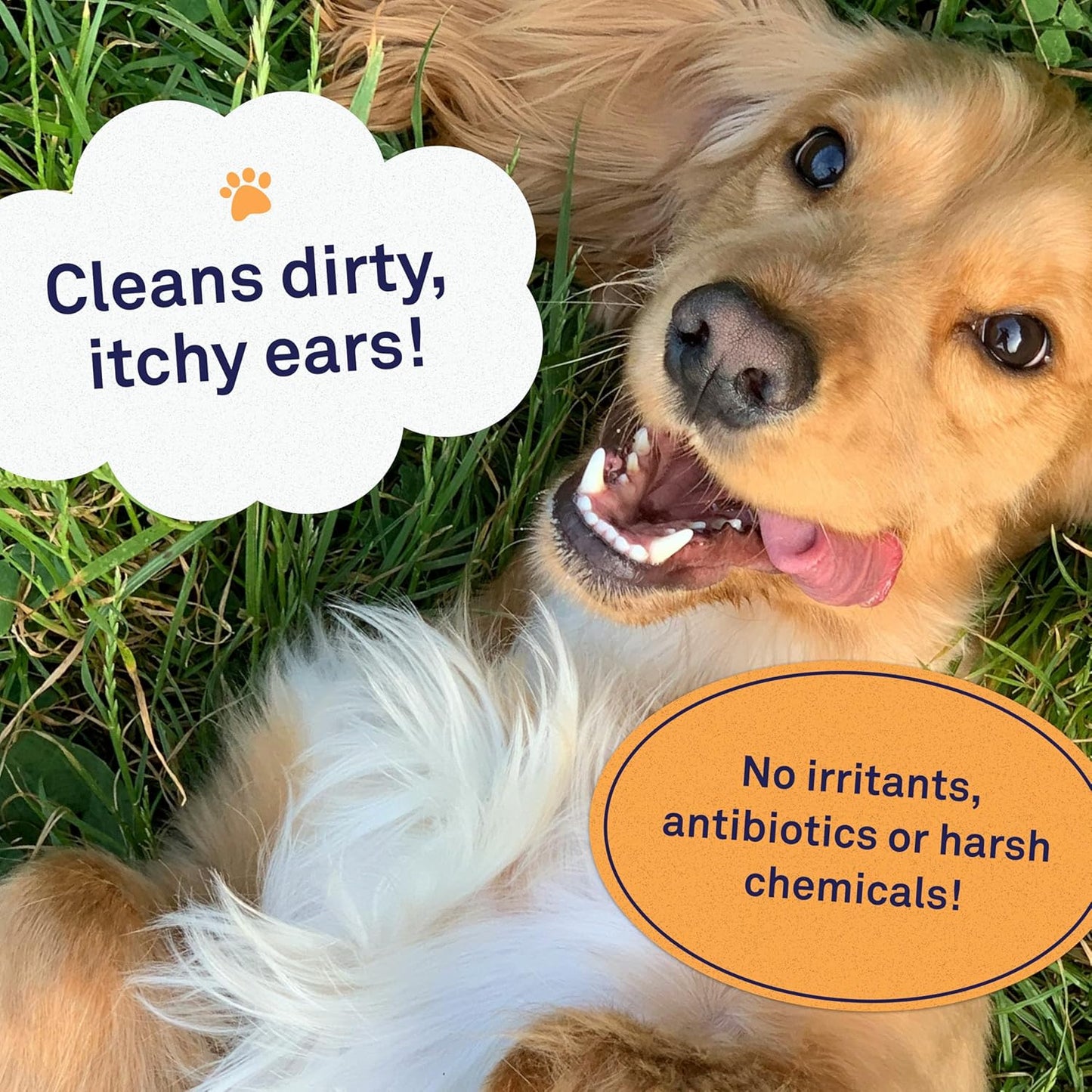 Petpost | Dog Ear Cleaner Wipes - Ultra Soft Cotton Pads in Coconut Oil Aloe Solution - Dog Ear Rinse & Cleanser 100 ct