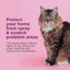 Comfort Zone Cat Calming Pheromone Spray: Value Size (4 oz)