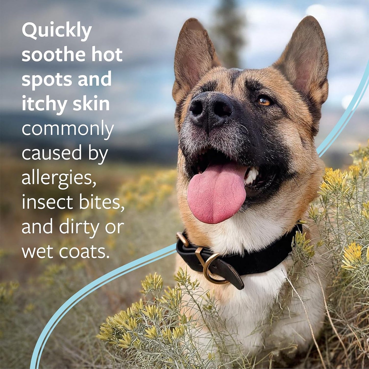 Veterinary Formula Clinical Care Hot Spot & Itch Relief Medicated Shampoo for Dogs and Cats 16oz