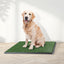 PETMAKER Artificial Grass Puppy Pee Pad for Dogs and Small Pets - 20x30