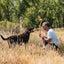 ChuckIt! Sport 26L Dog Ball Launcher, 26" Length, Includes Large Ball (3") for Dogs 60-100 Pounds