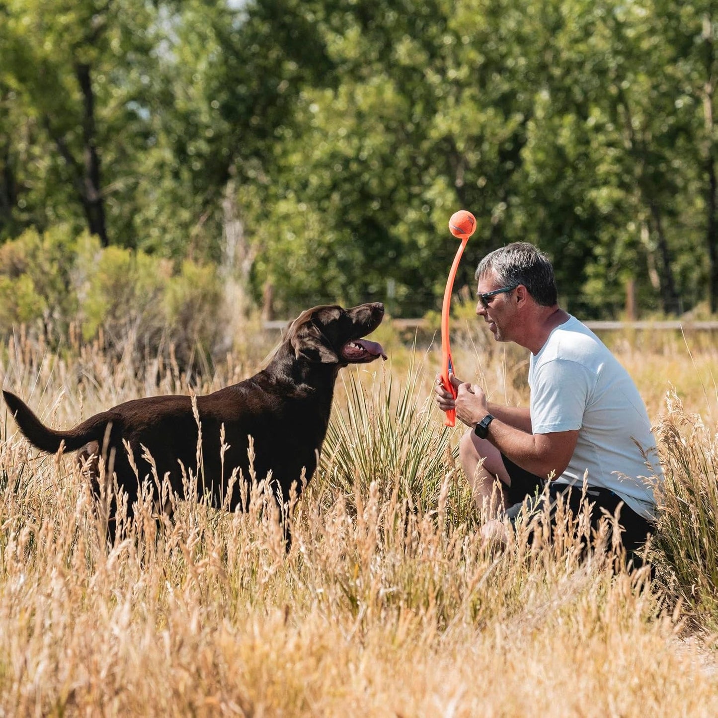 ChuckIt! Sport 26L Dog Ball Launcher, 26" Length, Includes Large Ball (3") for Dogs 60-100 Pounds