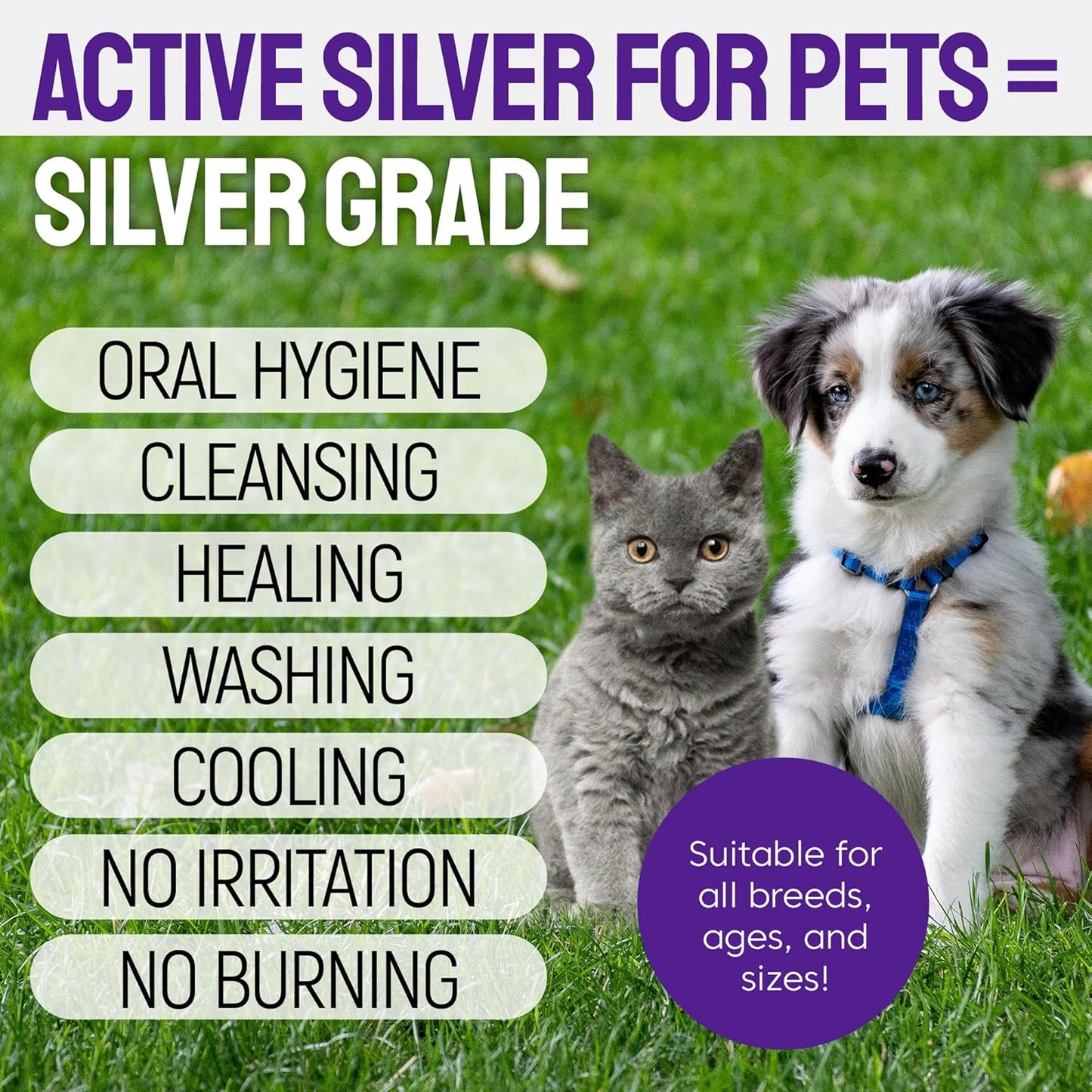 SILVER GRADE Teeth & Gum Spray for Pets