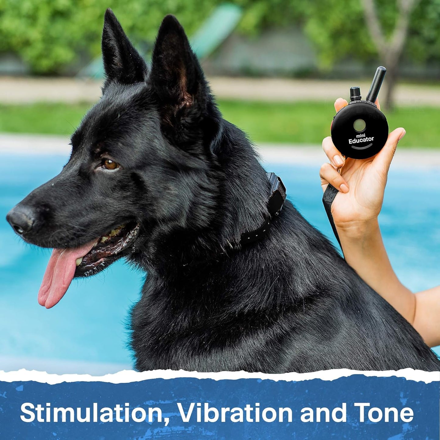 Educator ET-300 Black Mini E Collar for Dog Training with Remote - 1/2 Mile Range, Waterproof, 100 Blunt Stimulation Levels