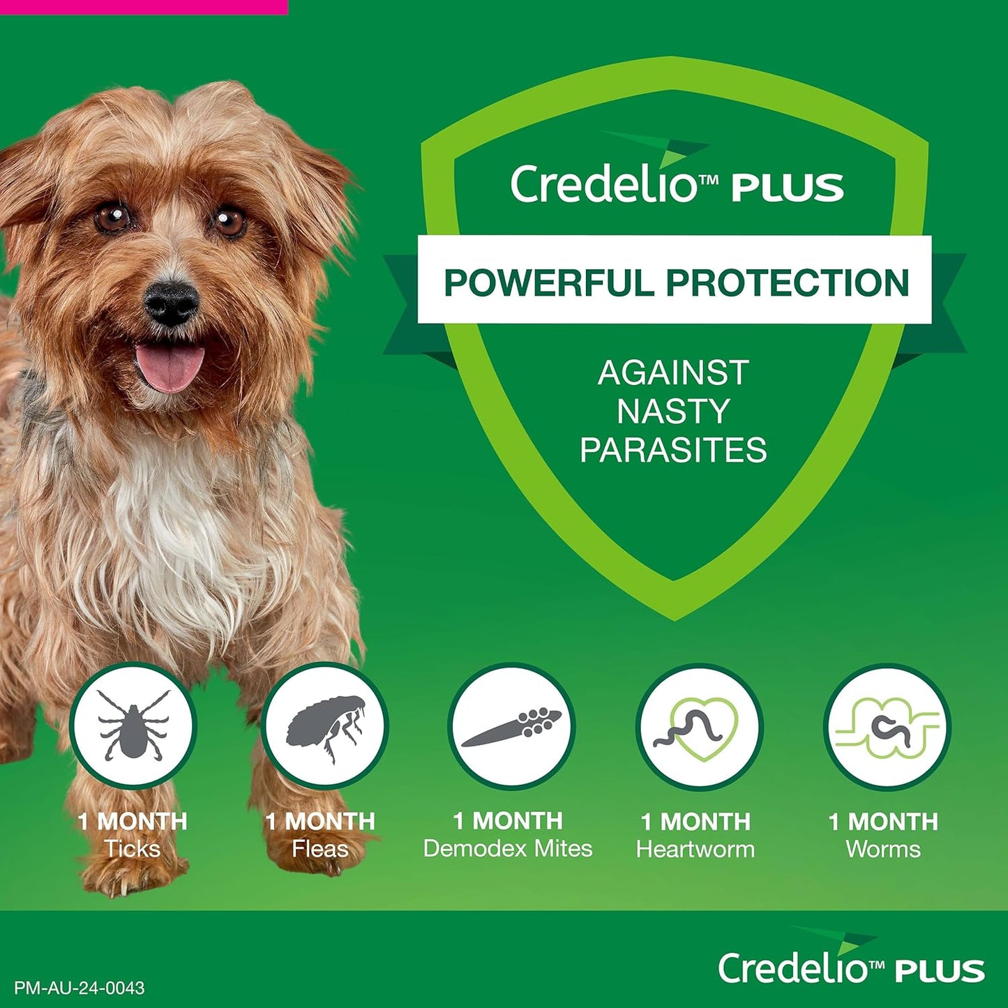 Credelio Plus Dog Flea and Tick Treatment, Six Pack, Ticks, Fleas, Mites, Heartworm & Worms Parasite Protection, in The Smallest Monthly Chewable Tablet for Dogs > 2.8-5.5 kg, 6 Pack