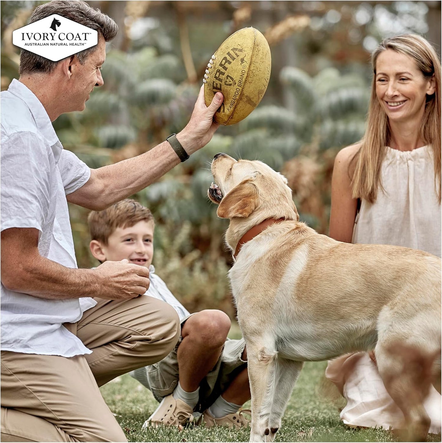 Ivory Coat 17024 Adult and Senior Lamb & Kangaroo Grain Free Dog Food (13kg + 2kg Free, 15kg)