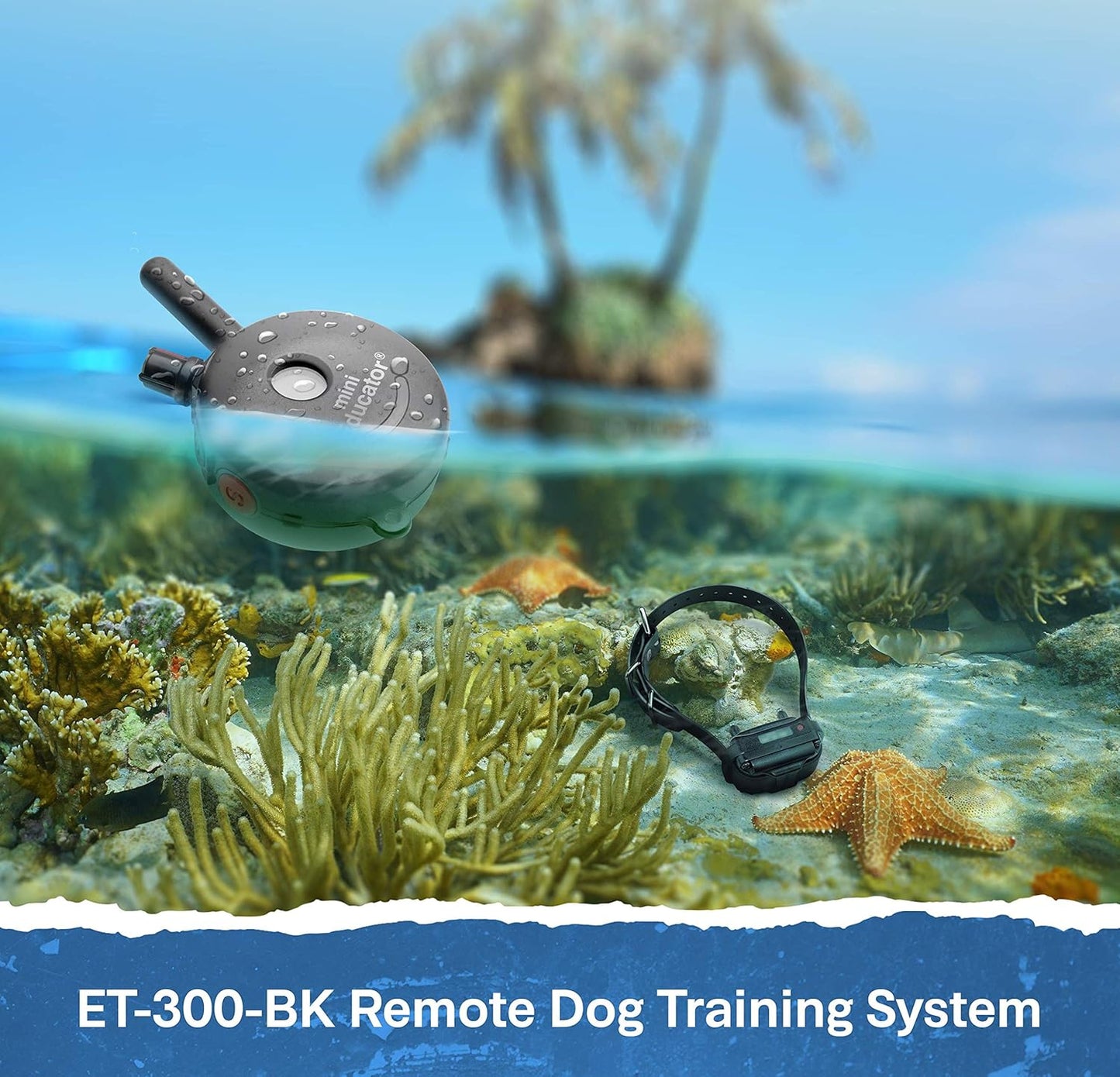 Educator ET-300 Black Mini E Collar for Dog Training with Remote - 1/2 Mile Range, Waterproof, 100 Blunt Stimulation Levels