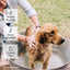 Wondercide - Flea & Tick Shampoo for Dogs and Cats - 12 Fl oz