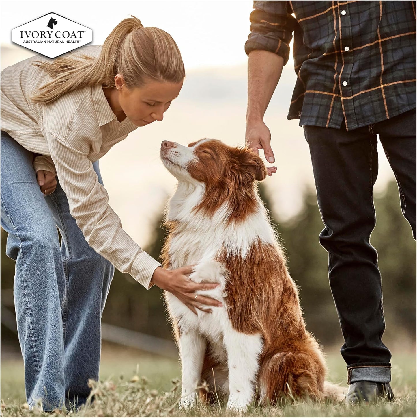 Ivory Coat 17024 Adult and Senior Lamb & Kangaroo Grain Free Dog Food (13kg + 2kg Free, 15kg)