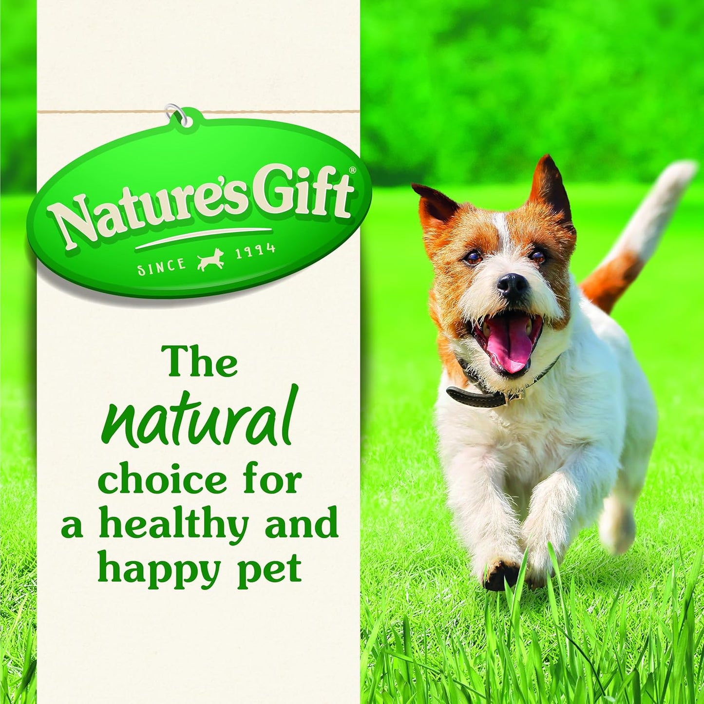 Nature's Gift Adult Dry Dog Food, Kangaroo 2.5kg - 100% Complete & Balanced Nutrition