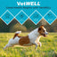 EarWELL by VetWELL Dog Ear Wipes - Otic Cleaning Wipes for Infections - 100 Count