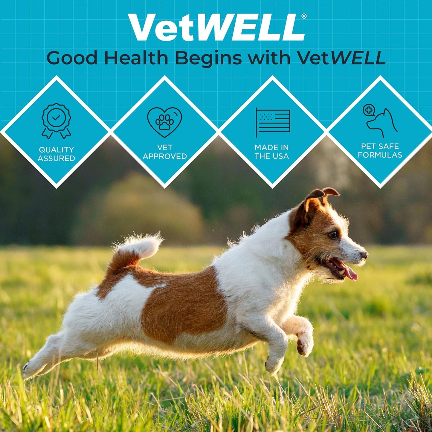 EarWELL by VetWELL Dog Ear Wipes - Otic Cleaning Wipes for Infections - 100 Count