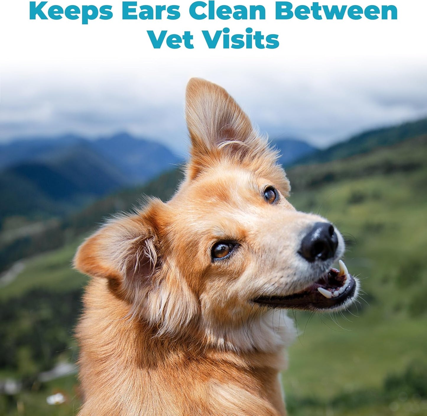 EarWELL by VetWELL Dog Ear Wipes - Otic Cleaning Wipes for Infections - 100 Count