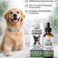 Powerful Lysine Liquid for Pets Strong Immunity & Healthy Pets 2*60ml (2Pack)