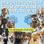 Kennel Cough Relief Drops for Dogs – Soothe Cough & Support Immunity