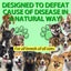 Natural Antibiotic Drops for Dogs – Gentle Daily Immune & Infection Support