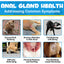 Anal Gland Support Chews for Dogs – Digestive & Bowel Health Formula