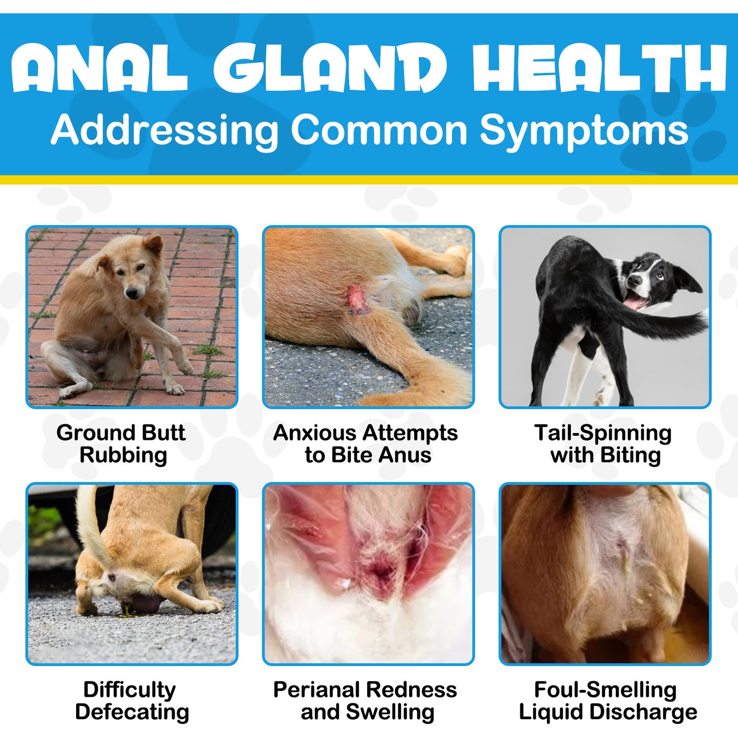 Anal Gland Support Chews for Dogs – Digestive & Bowel Health Formula