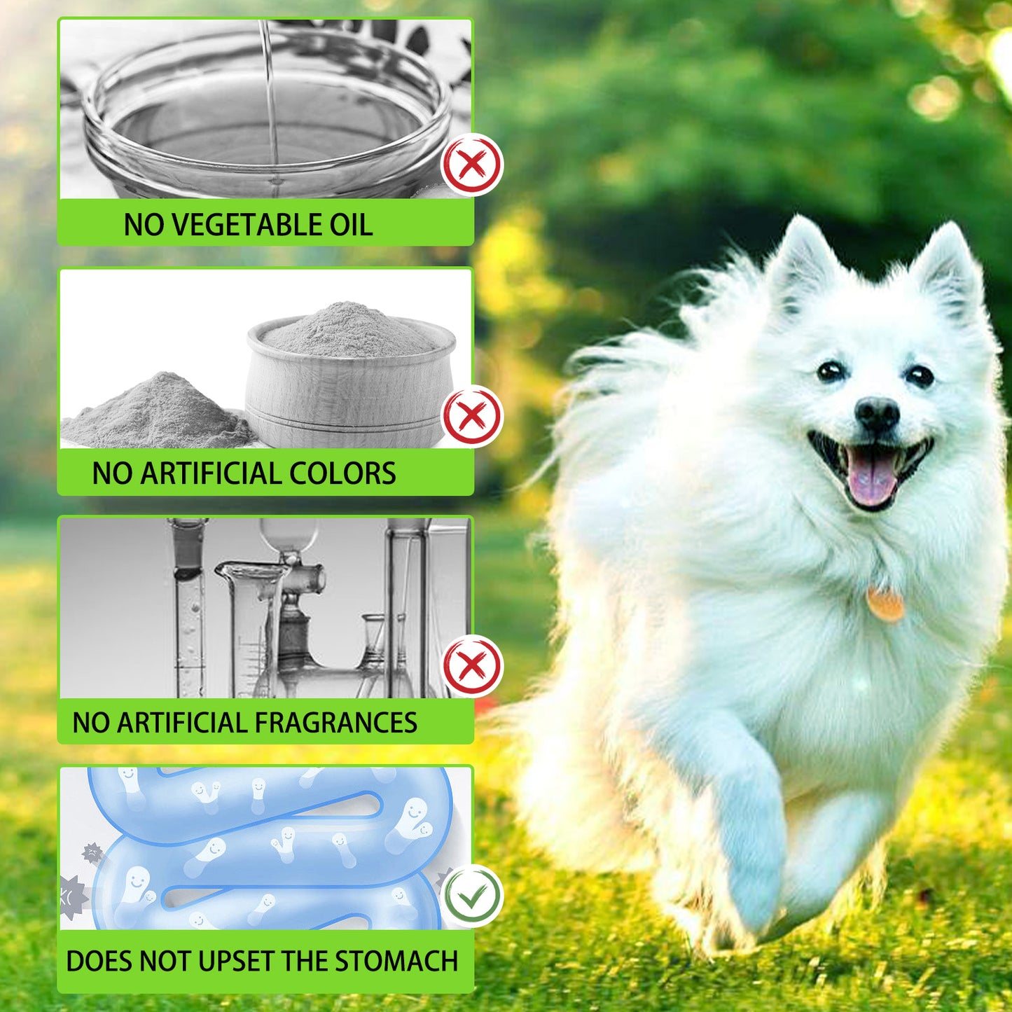 Oimmal 3-in-1 Probiotic for Dogs – Gut Health, Immunity & Energy Booster (2 fl oz / 60 mL)