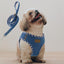 Premium Denim Dog Harness and Leash Set (Baby Blue, S)