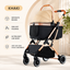 Luxury Detachable Pet Stroller for Small to medium Dogs & Cats – Lightweight Foldable Travel Carrier with Shock-Absorbing Wheels & One-Button Fold