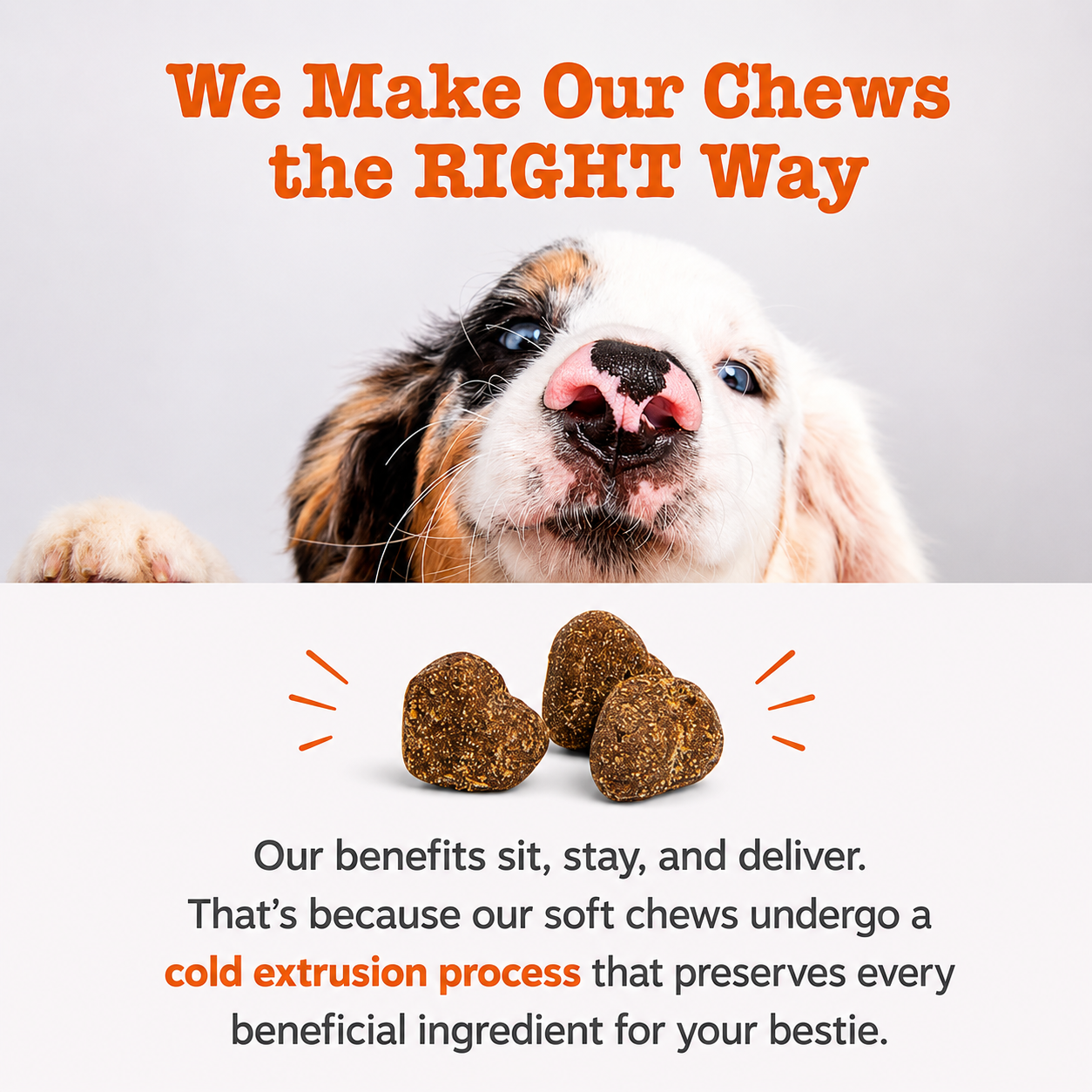 No Poo Support Chews — Proven digestive support for cats and dogs,100 Chews