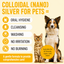 Pet Dental Care Spray – Gentle Daily Oral Hygiene for Dogs & Cats