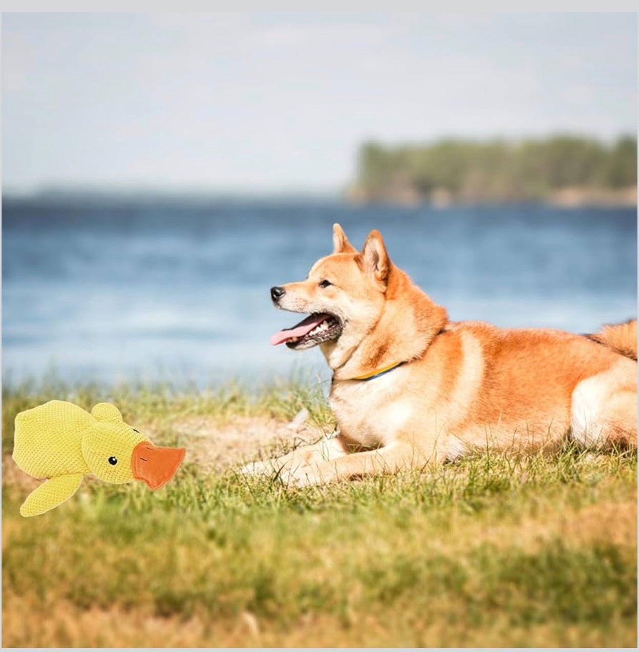 Mellow Dog Calming Duck, 2026 New Yellow Duck Dog Toy, The Mellow Ducks Calming Pillow, Dogs Ducks Toy with Quacking Sound for Indoor Dogs