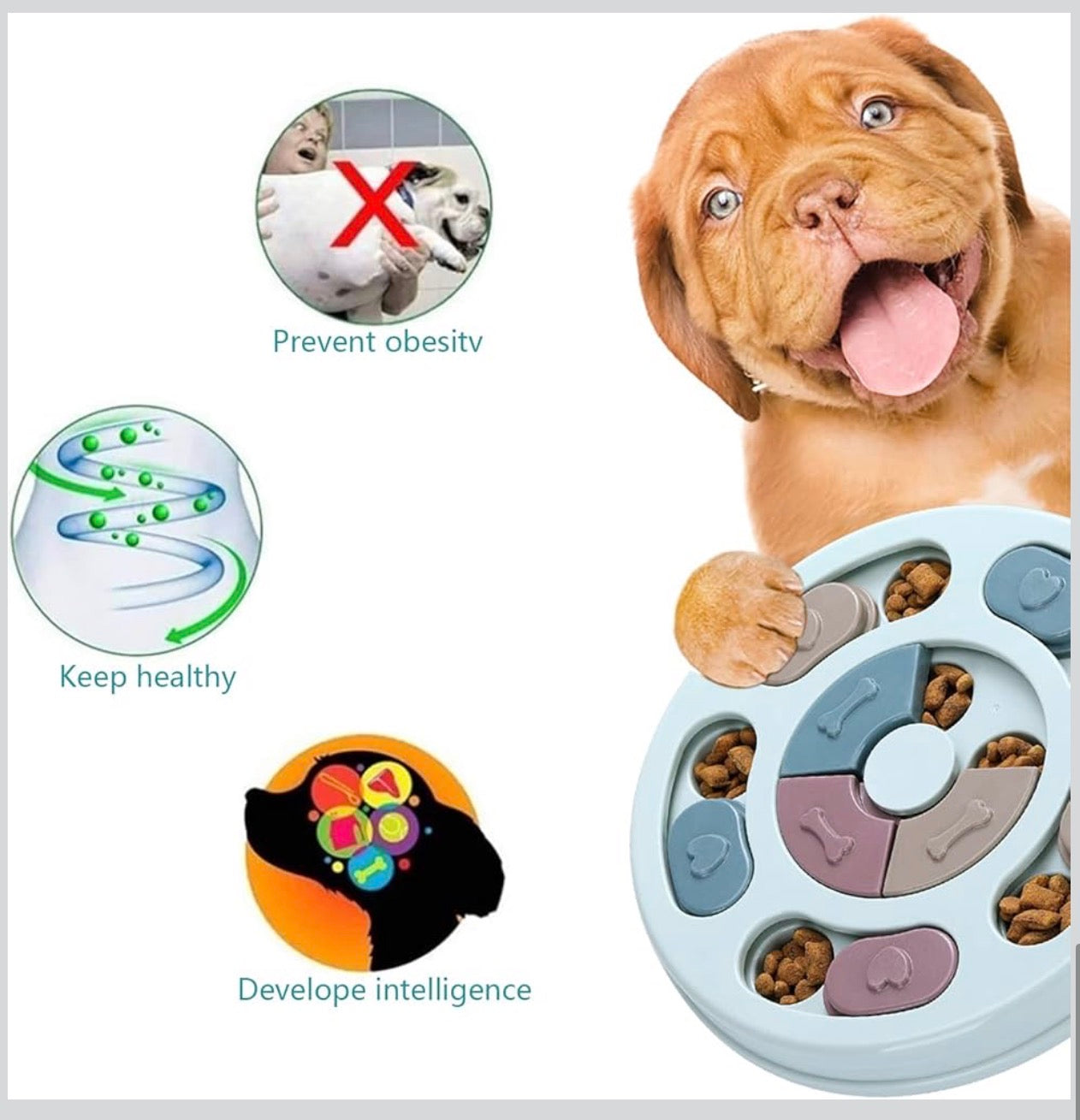 DR CATCH Dog Puzzle,Dogs Food Toys for IQ Training & Mental Enrichment,Dog Treat Puzzle(Blue)