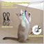 Interactive Cat Toy 2PCS Retractable Wand Toy and 9PCS Cat Feather Toys Refills, Funny Kitten Toys Cat Fishing Pole Toy for Bored Indoor Cats Chase and Exercise