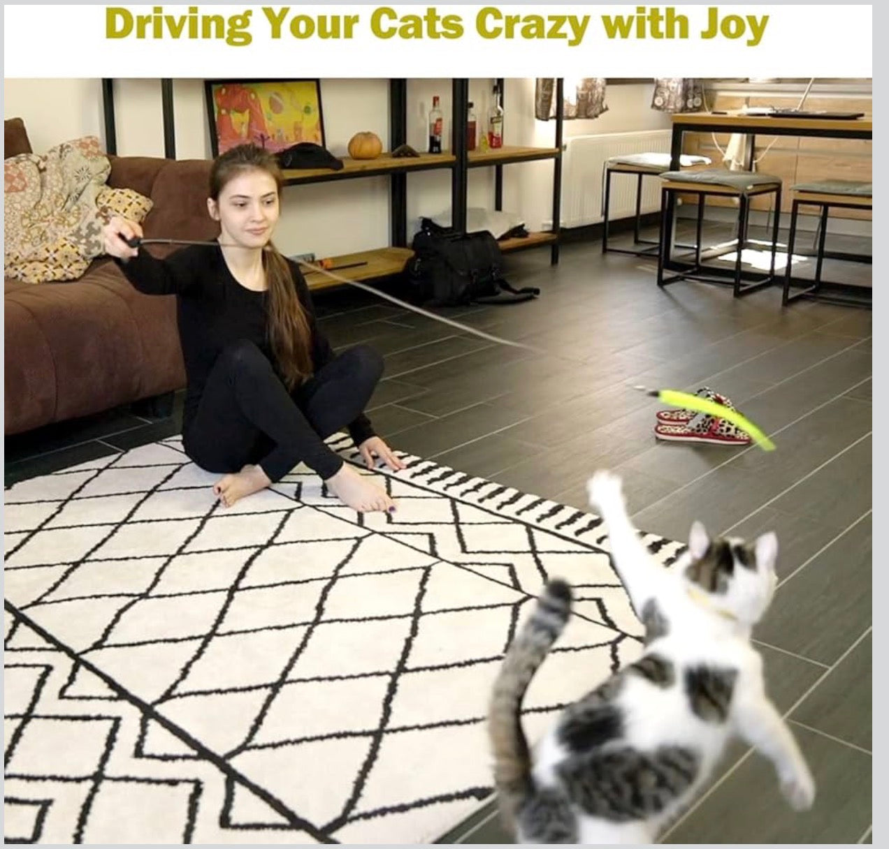 Interactive Cat Toy 2PCS Retractable Wand Toy and 9PCS Cat Feather Toys Refills, Funny Kitten Toys Cat Fishing Pole Toy for Bored Indoor Cats Chase and Exercise