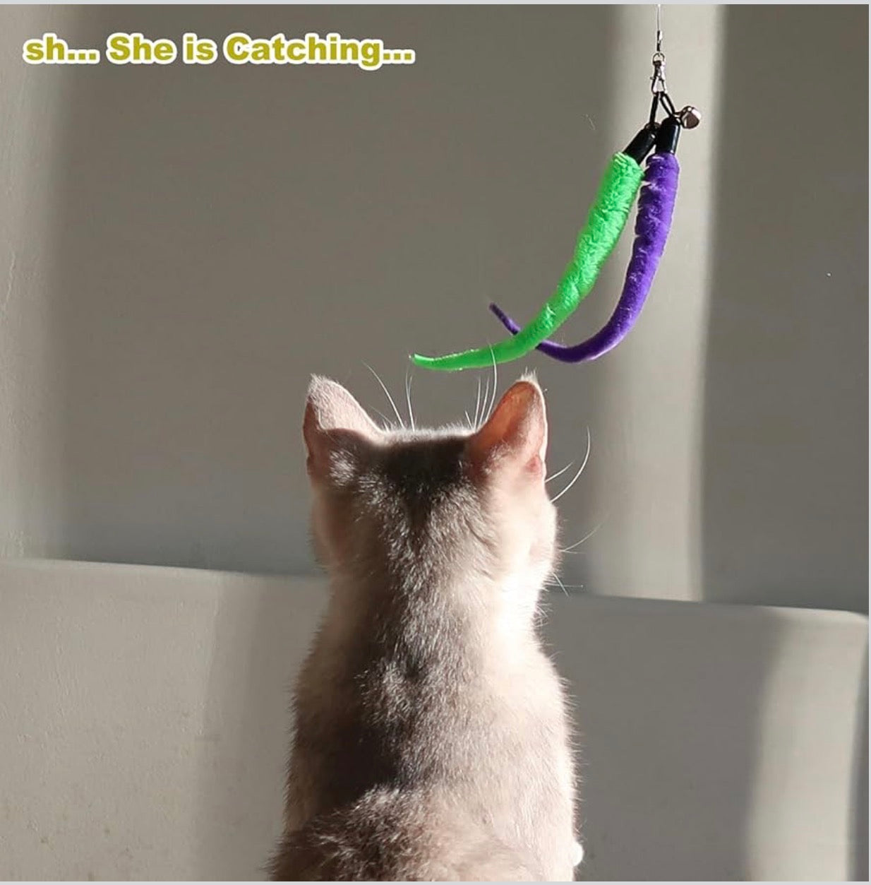 Interactive Cat Toy 2PCS Retractable Wand Toy and 9PCS Cat Feather Toys Refills, Funny Kitten Toys Cat Fishing Pole Toy for Bored Indoor Cats Chase and Exercise