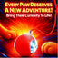 Interactive Cat Toys for Indoor Cats, Dog Toys Ball, Rolling Pet Ball, Smart Automatic Cat Chase Balls Toy, Interactive Dog Toys Speedy Tail,Kitten & Cat Toys Interactive (Red)