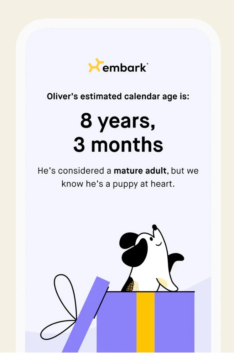 Emberk Dog age test ,accurate age result