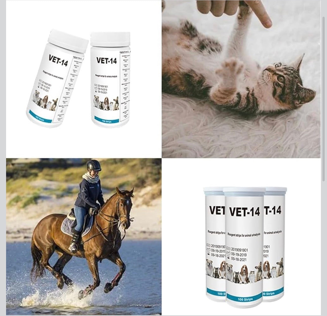Pet Urine Testing Strips, 100 Urinalysis Parameter Tests for Dogs,Cats,Vets, Accurate Testing for Veterinarians