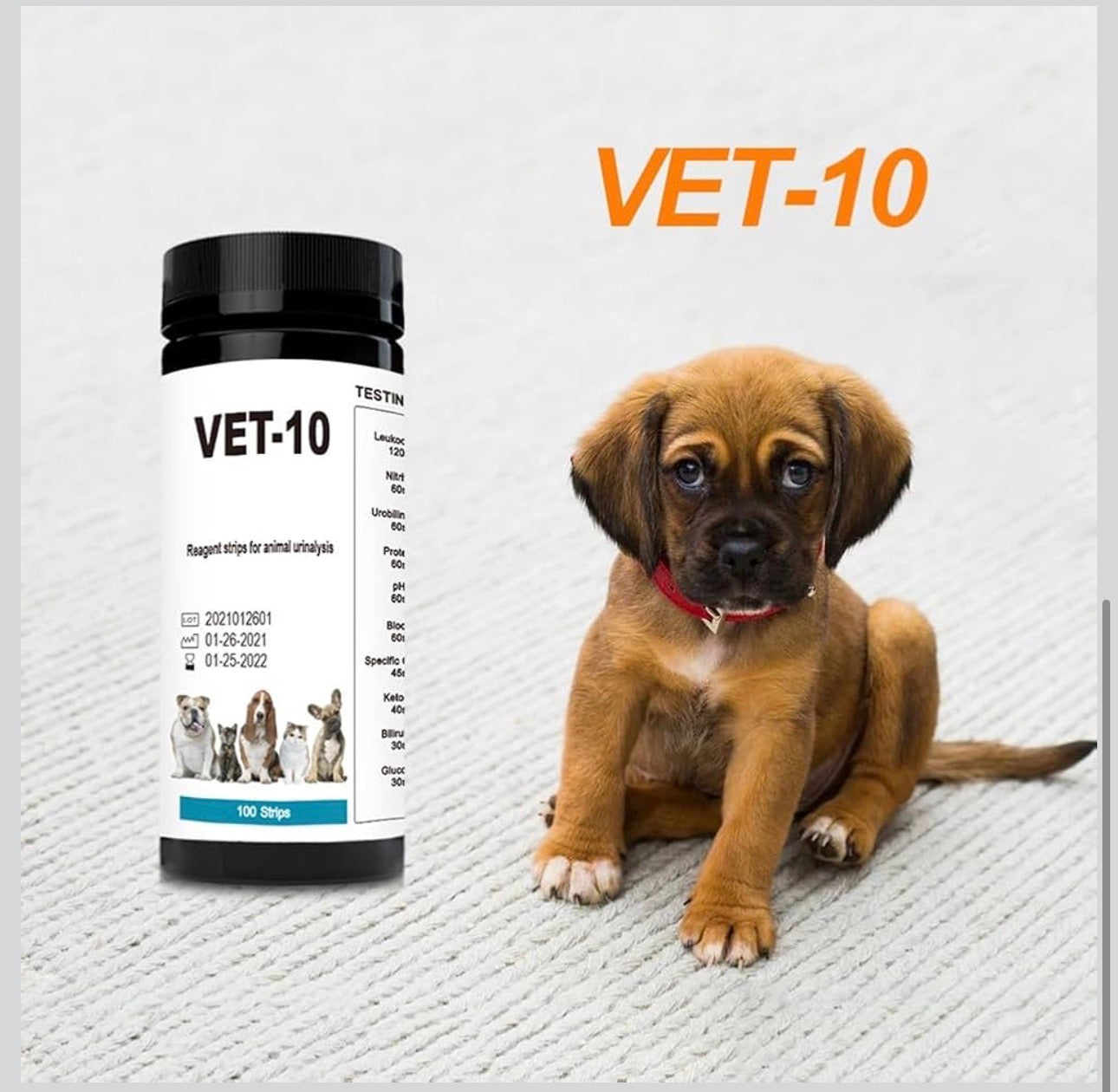Pet Urine Testing Strips, 100 Urinalysis Parameter Tests for Dogs,Cats,Vets, Accurate Testing for Veterinarians
