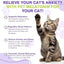 Melatonin for Cats & Kittens – Calming Drops with Bacon Flavor – Anxiety & Stress Relief, Sleep Aid 60ml