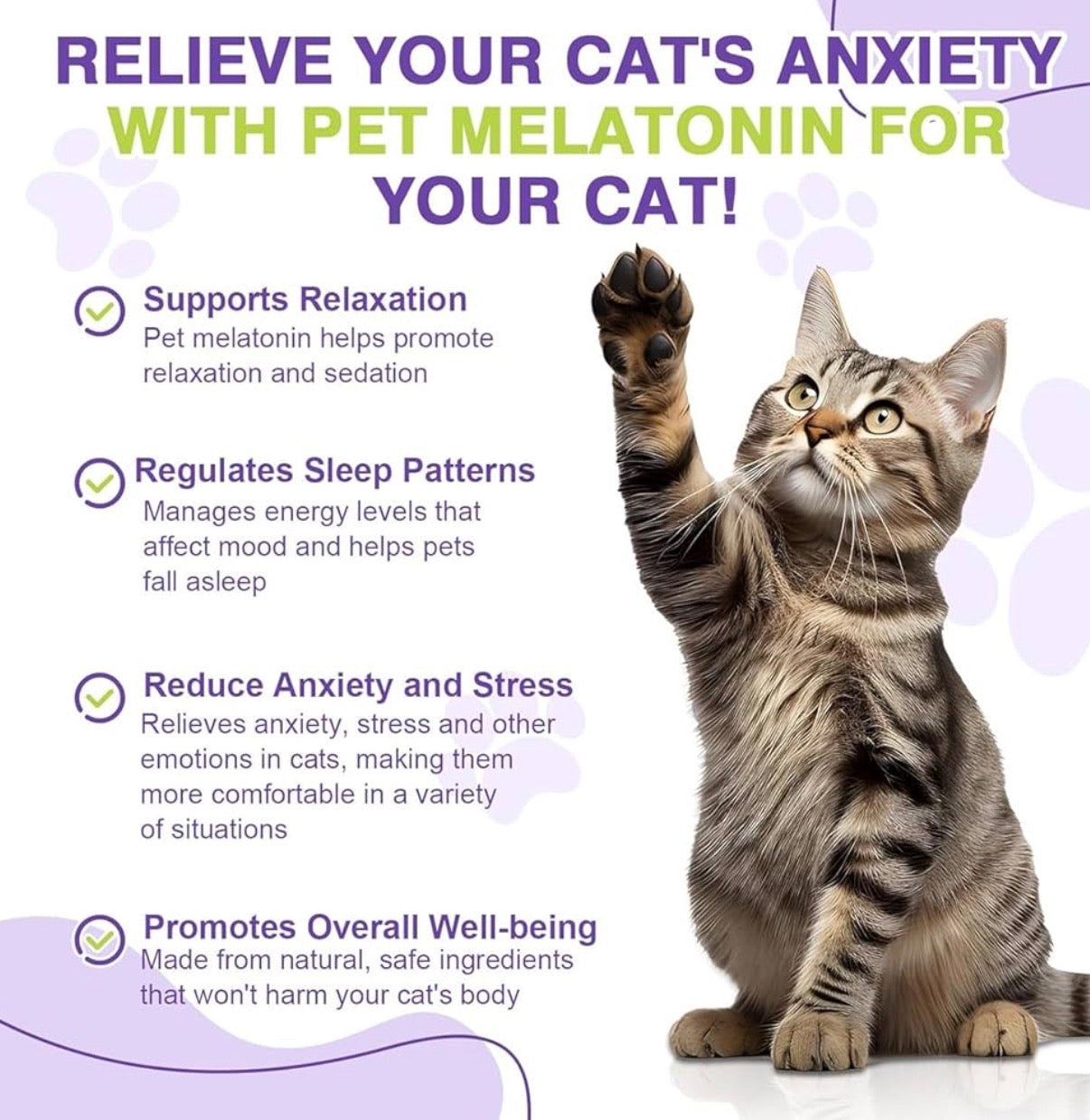 Melatonin for Cats & Kittens – Calming Drops with Bacon Flavor – Anxiety & Stress Relief, Sleep Aid 60ml