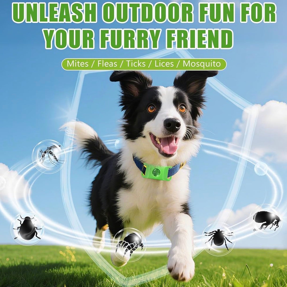 Natural Flea and Tick Prevention Dog Tag – Waterproof Collar Pendant with 4 Extra Refills, Green, Safe for All Breeds