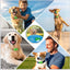 Natural Flea and Tick Prevention Dog Tag – Waterproof Collar Pendant with 4 Extra Refills, Green, Safe for All Breeds