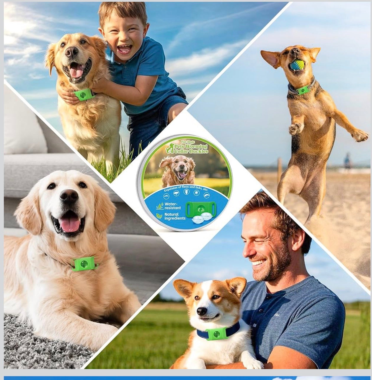 Natural Flea and Tick Prevention Dog Tag – Waterproof Collar Pendant with 4 Extra Refills, Green, Safe for All Breeds