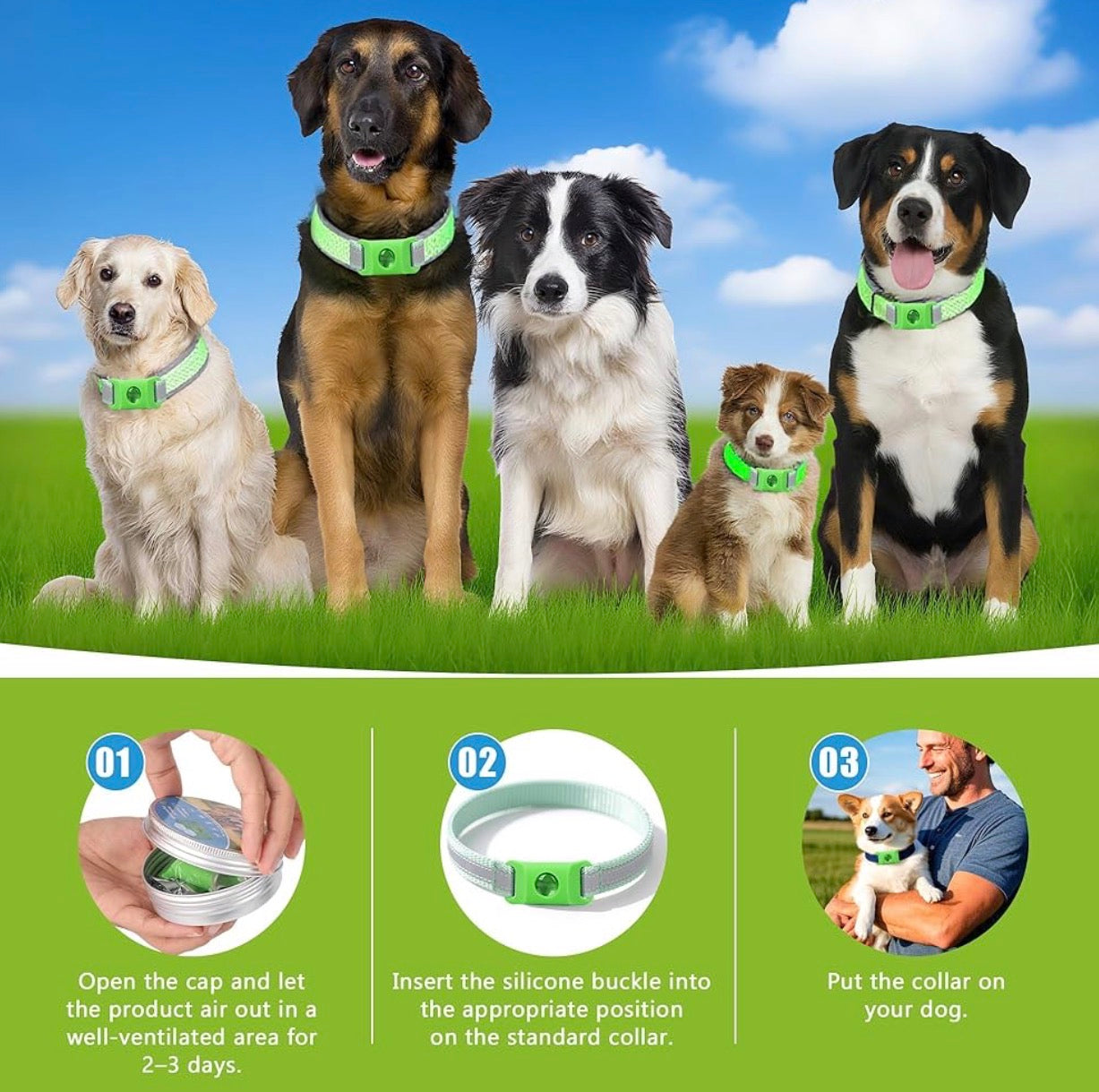 Natural Flea and Tick Prevention Dog Tag – Waterproof Collar Pendant with 4 Extra Refills, Green, Safe for All Breeds