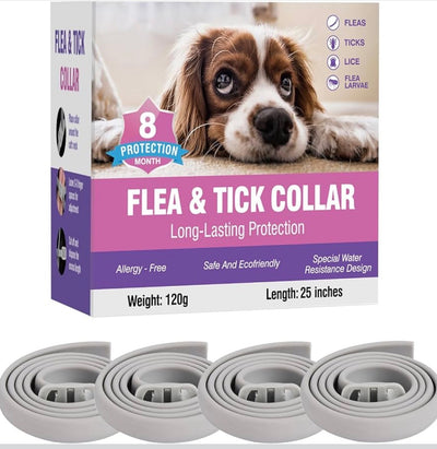 Flea Collar for Dogs 4 Pack 8 Months Long-Term Protection Natural Waterproof Adjustable Size Suitable for Small Medium and Large Dog