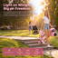 Luxury Pet Stroller for Small Dogs & Cats – 2-in-1 Detachable Carrier, Foldable, 360° Swivel Wheels, Large Storage Basket, Pink