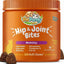 Hip & Joint Support + Skin & Coat Chicken Flavor (120 Soft Chews)