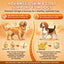 Hip & Joint Support + Skin & Coat Chicken Flavor (120 Soft Chews)